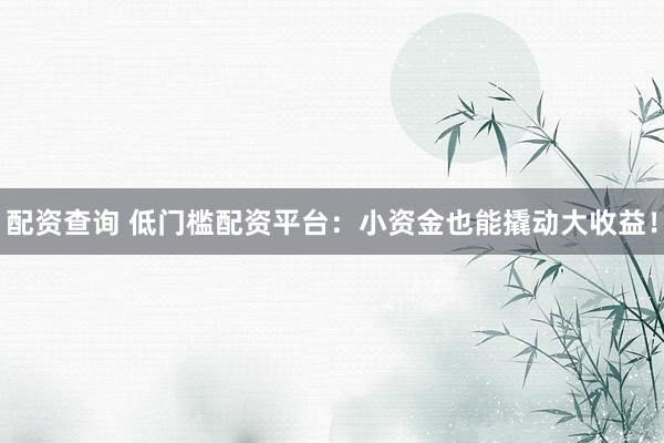 配资查询 低门槛配资平台：小资金也能撬动大收益！