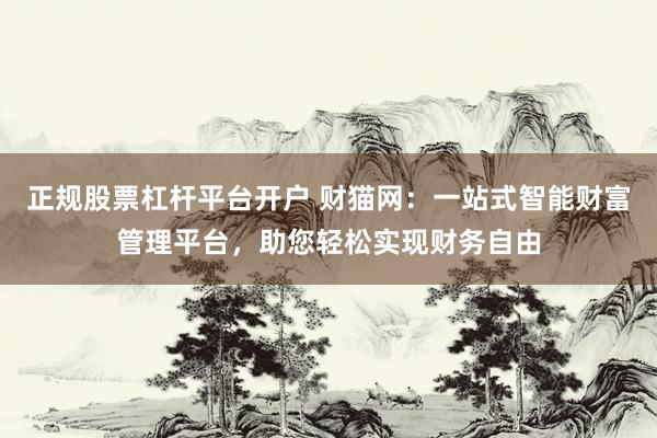 正规股票杠杆平台开户 财猫网：一站式智能财富管理平台，助您轻松实现财务自由