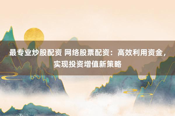最专业炒股配资 网络股票配资：高效利用资金，实现投资增值新策略