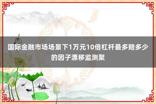 国际金融市场场景下1万元10倍杠杆最多赔多少的因子漂移监测聚