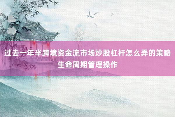 过去一年半跨境资金流市场炒股杠杆怎么弄的策略生命周期管理操作