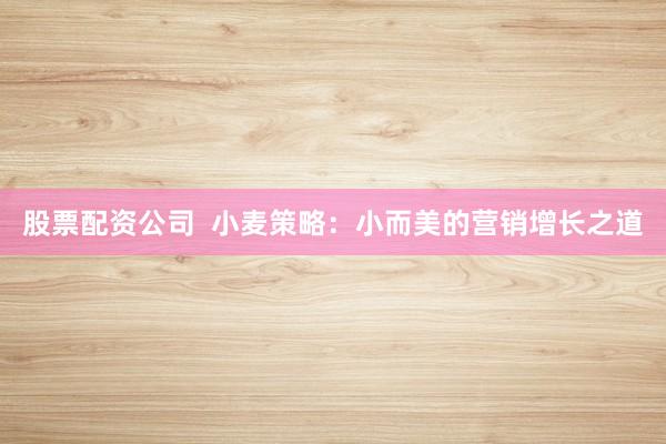 股票配资公司  小麦策略：小而美的营销增长之道
